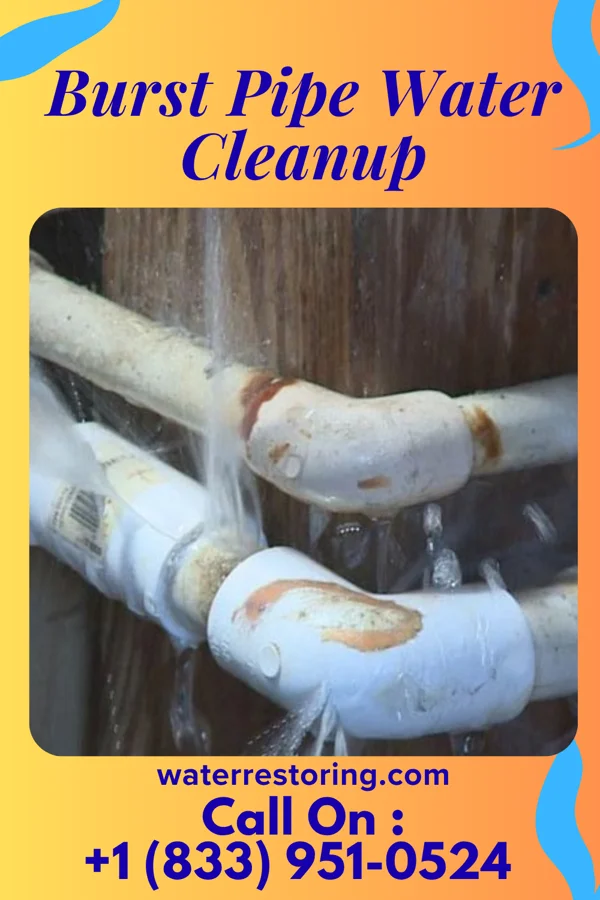 Burst Pipe Water Cleanup in Cicero, IN
