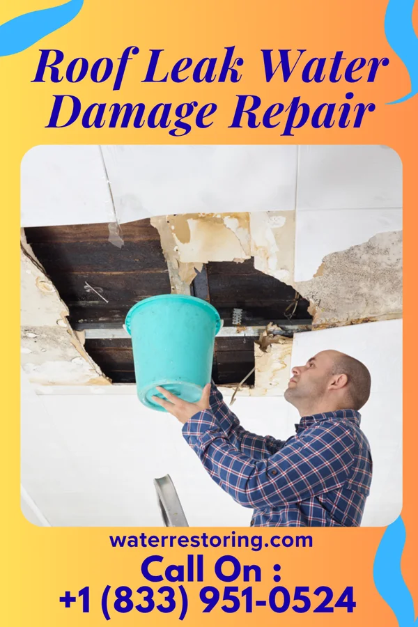 Roof Leak Water Damage Repair in Cicero, IN