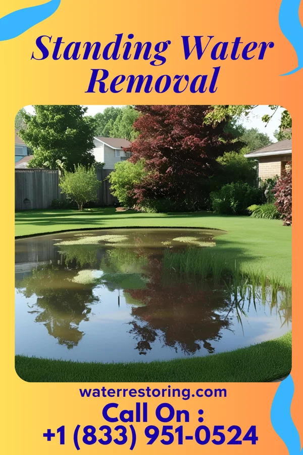 Standing Water Removal in Cicero, IN